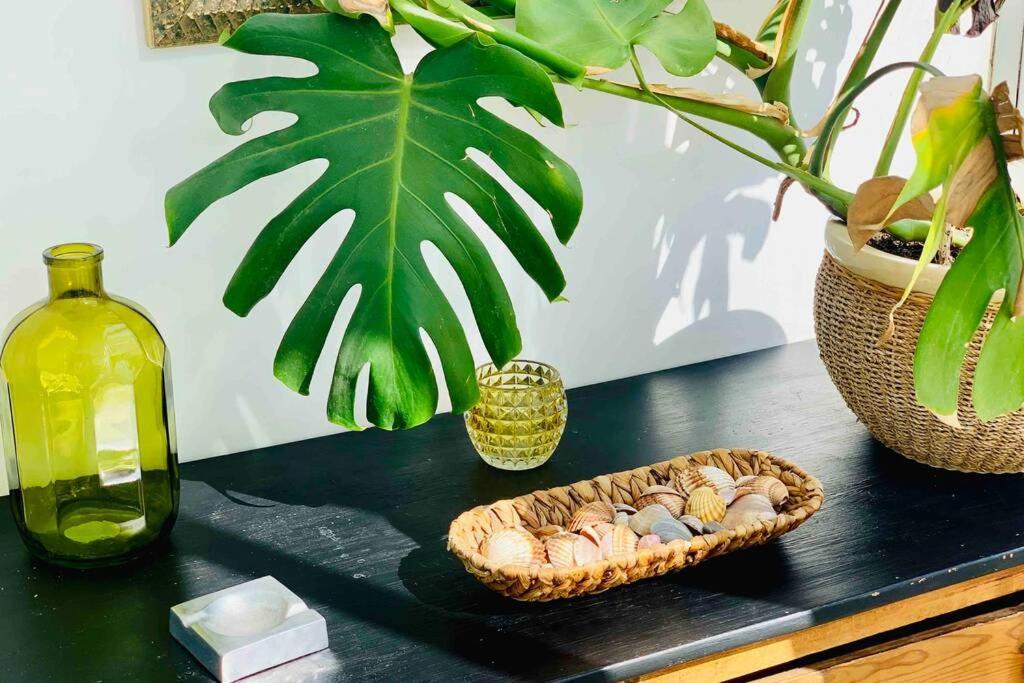 Begonia City Center Apartment 230 By Namaste Elite Torremolinos Dış mekan fotoğraf