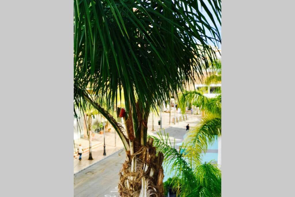Begonia City Center Apartment 230 By Namaste Elite Torremolinos Dış mekan fotoğraf